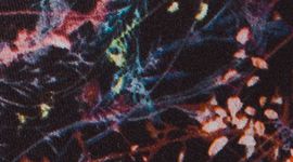 lululemon Align&trade; Pant II 25"