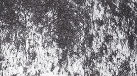 La (Petite) Serviette