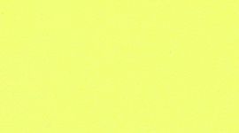 Back to Life Sport Bottle *24oz