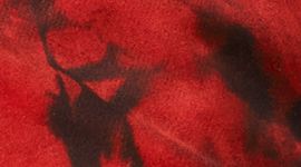 Hotty Hot Short II *2.5"