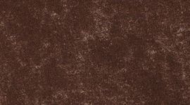 T.H.E. Short 7" *Linerless