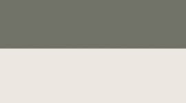 Grey Sage/Light Ivory