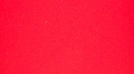 Back to Life Sport Bottle *24oz