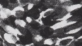 Invigorate Tights HB 63&nbsp;cm