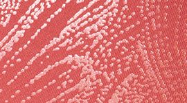 Wunder Under High-Rise Tight 26" *Shine, Asia Fit