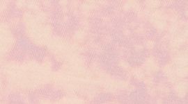 T-shirt 5 Year Basic