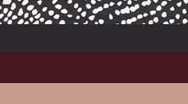 Culotte gar&ccedil;onne Soyeux et sans coutures *Paquet de&nbsp;5