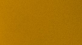 Gold Spice