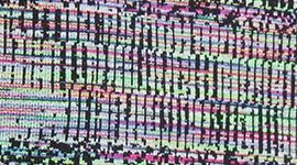 Future Noise Jacquard