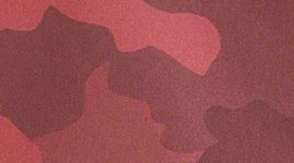 Hotty Hot LR Short 4" *Lined