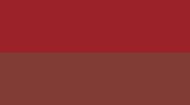Dark Sport Red/Sport Red