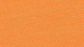 Autumn Orange
