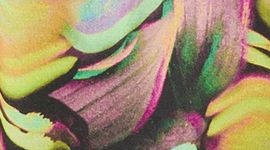 Mood Enhancer Yellow Multi (not available)