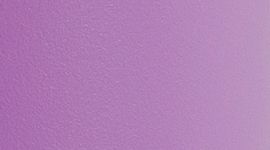 Purple Blossom Light