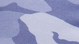 color image