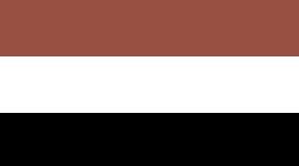 Black/White/Date Brown (not available)