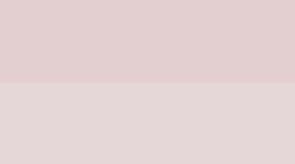 Flush Pink/White (not available)