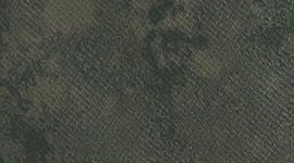 color image