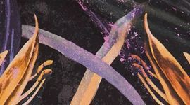 Veiled Floral Black Multi/Black