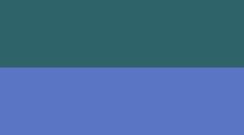 color image