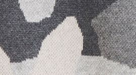 color image