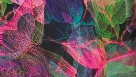 Vivid Floral Tone Multi