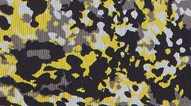 color image
