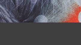 Luminescent Floral Multi/Graphite Grey