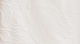 In-Sense Emboss Mini Bone/Bone