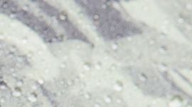 color image
