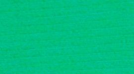 Raceway Green/Raceway Green