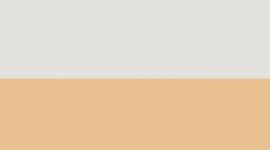 Bone/Gold