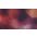 Red,Printed,Tie Dye