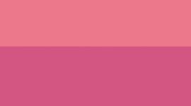Sakura Pink/Washed Mauve/White (not available)