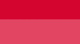 Lulu Red/White