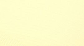 Beaming Yellow/Beaming Yellow