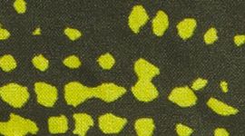 color image