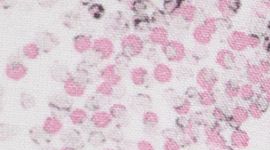 Gossamer Floral Vita Pink Multi