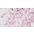 Pink,White,Printed