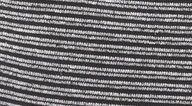 Spandex Stripe Black/White