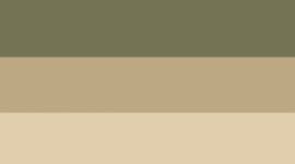 Compass Khaki/Pocket Stripe Compass Khaki Medium Olive/Medium Olive (not available)