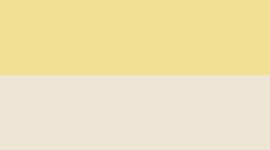 Beaming Yellow/White/Sundance