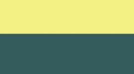 Yellow Serpentine/Warp Teal