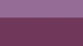 color image