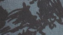color image