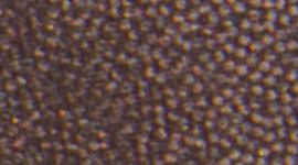 Matte Shine Espresso (not available)