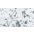 Fragmented Floral White Multi