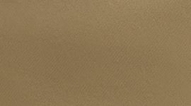 Fawn Brown/Silver