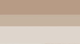 Mojave Tan/Sandlot/Bone (not available)