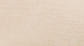 Enzyme Dye Sheer Oak